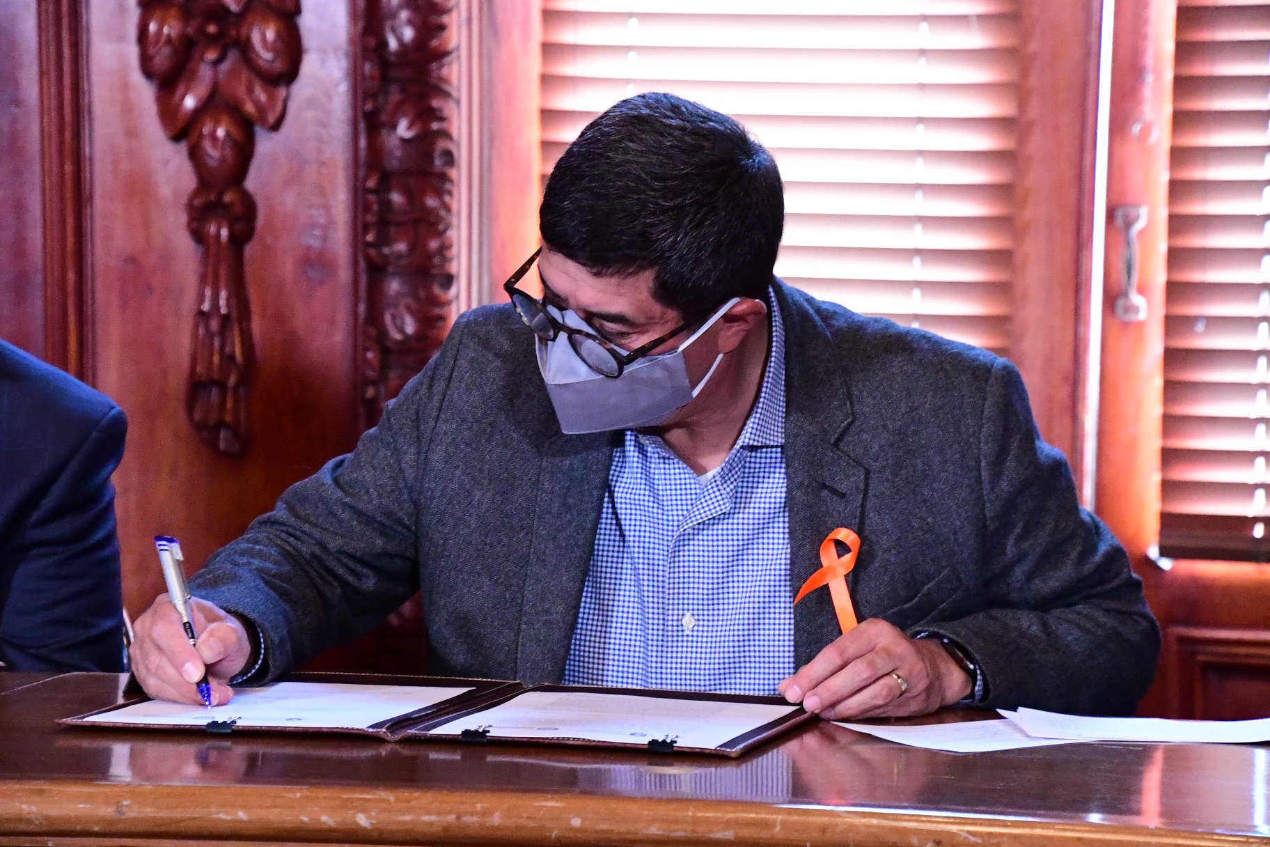 FIRMA BLINDAJE ELECTORAL 21