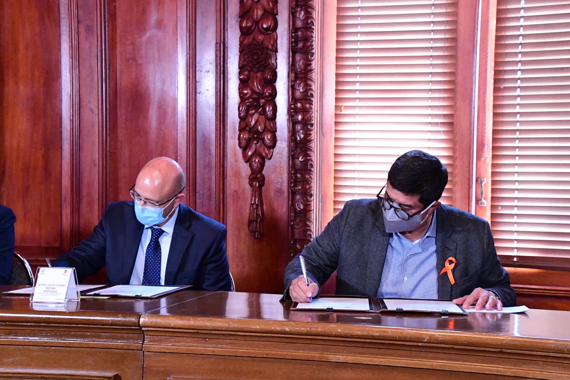 FIRMA BLINDAJE ELECTORAL 22