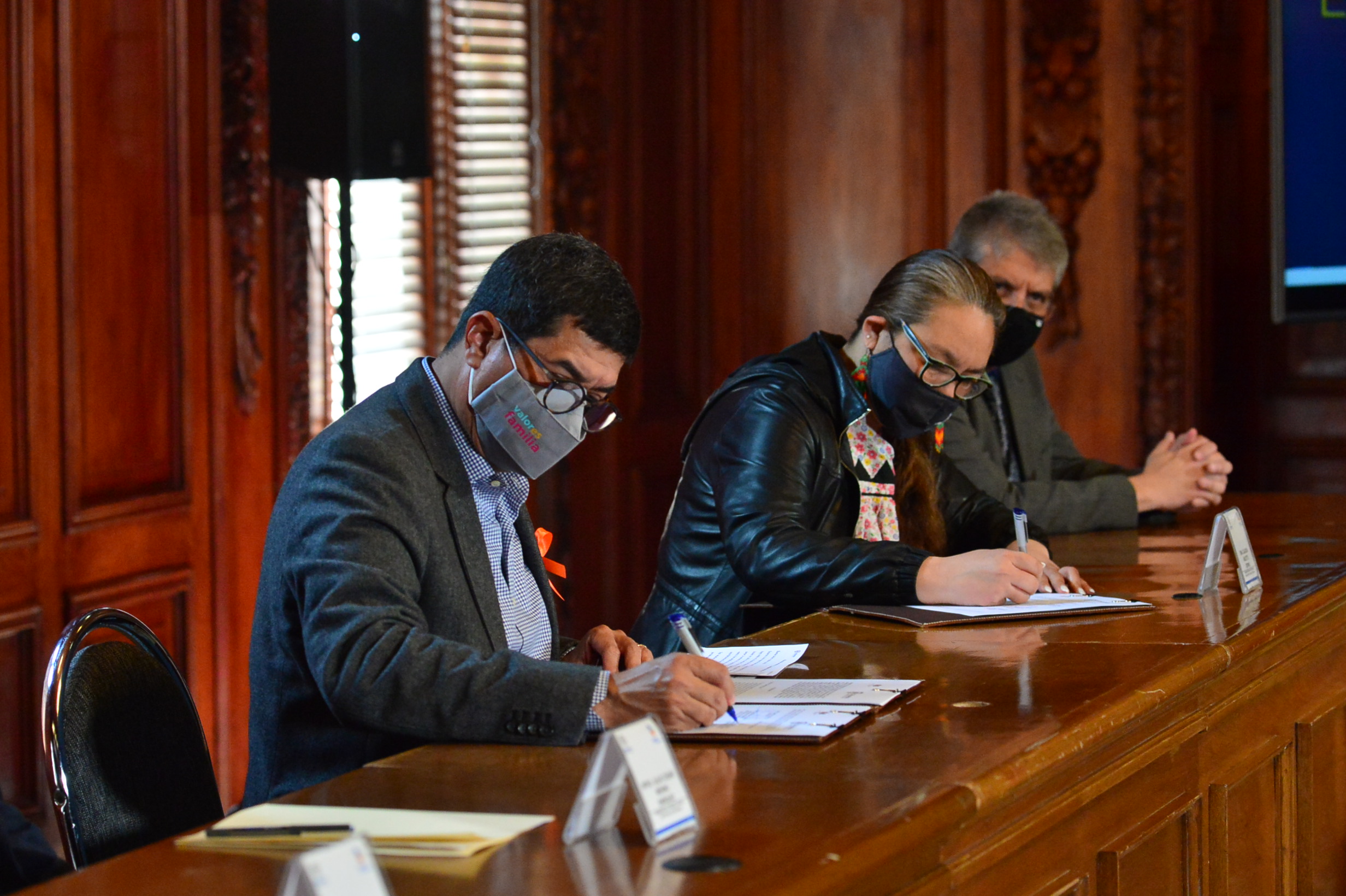 FIRMA BLINDAJE ELECTORAL 9