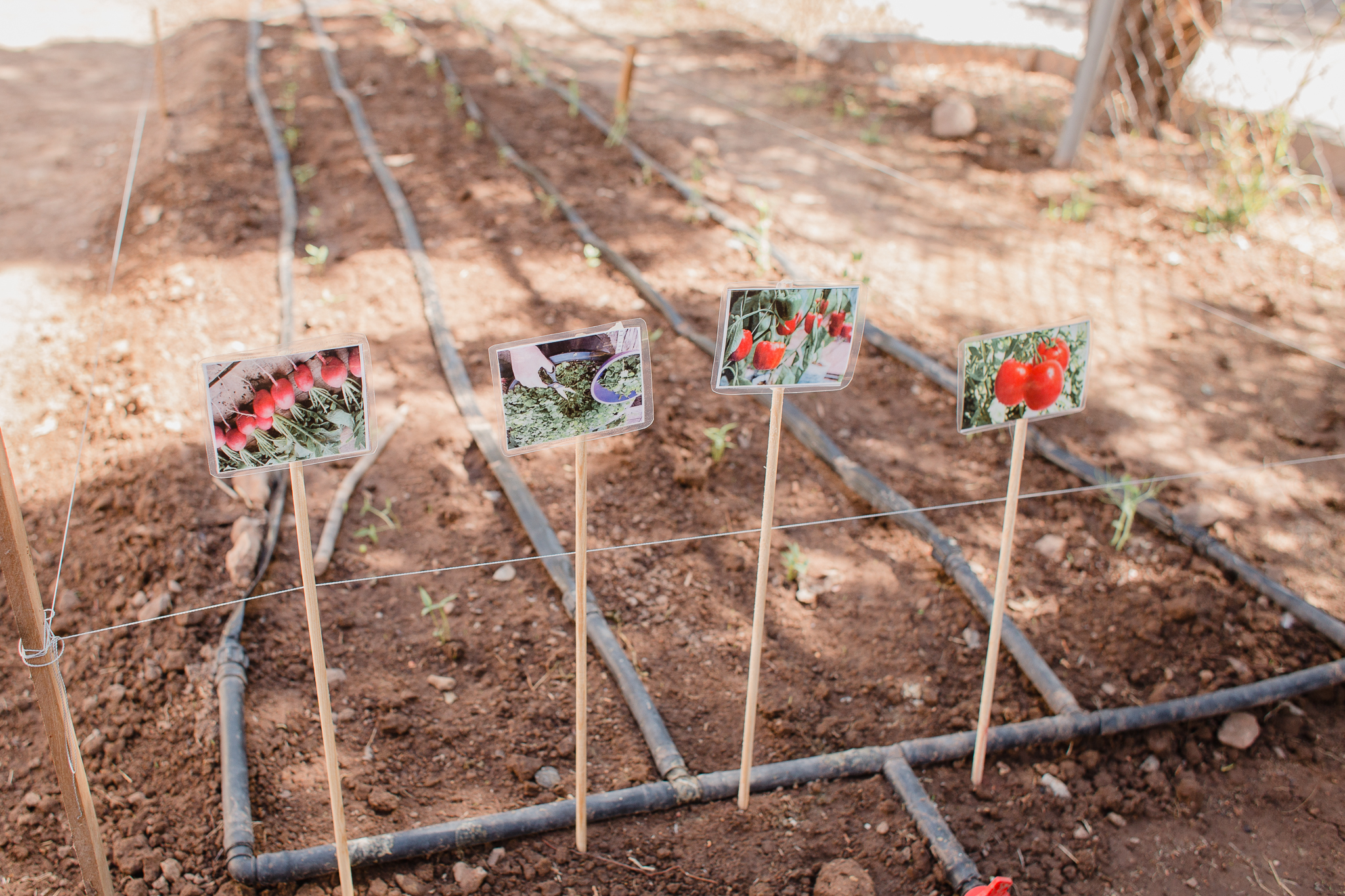 Regresa el programa “Cultiva la Vida” 4 Machi taller hortalizas 150