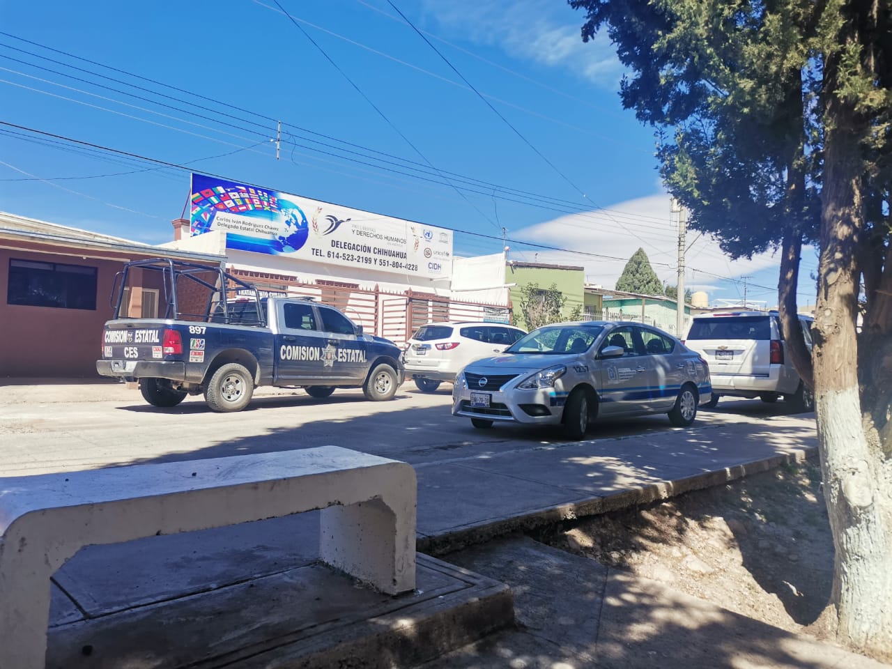 OPERATIVO COESPRIS VENENO ESCORPION AZUL 4