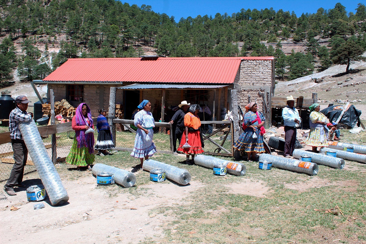 Programa de Fomento 1