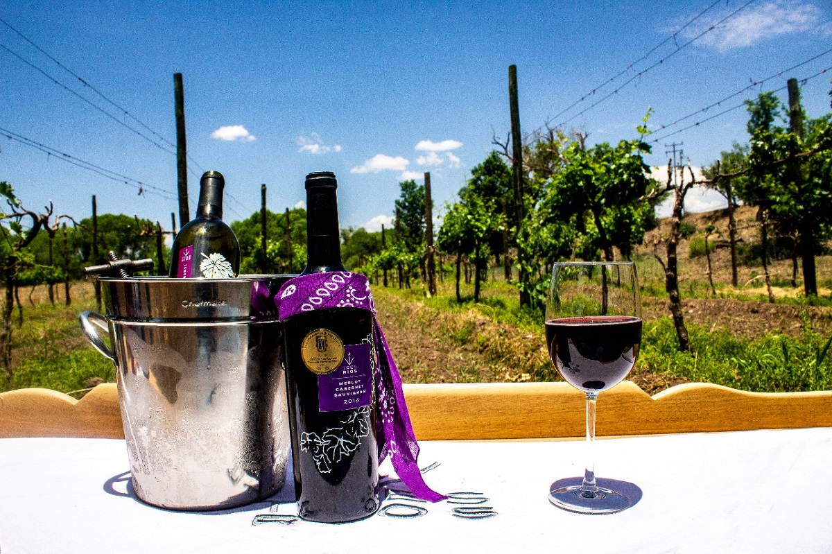 WhatsApp Image 2018 07 03 at 2.39.16 PM 2 Copy