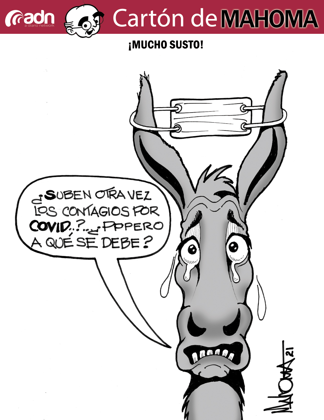 basecarton12defebrero2021