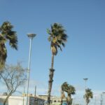 60479e429d03a 60479e429d03e