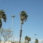 60575a108ba35 60575a108ba3c