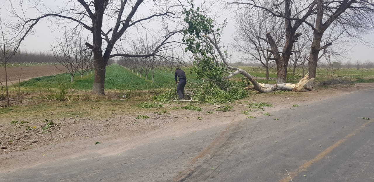Cierran tramo de carretera Jiménez-Parral por tolvaneras 3 ACCIDENTES POR TOLVANERAS LUNES 22 MARZO 4