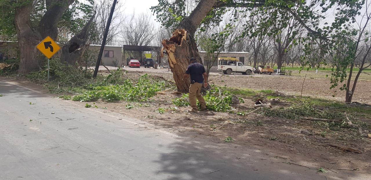 ACCIDENTES POR TOLVANERAS LUNES 22 MARZO 5 1