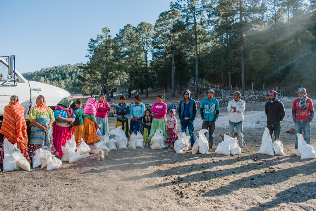 Apoyos Guachochi 116