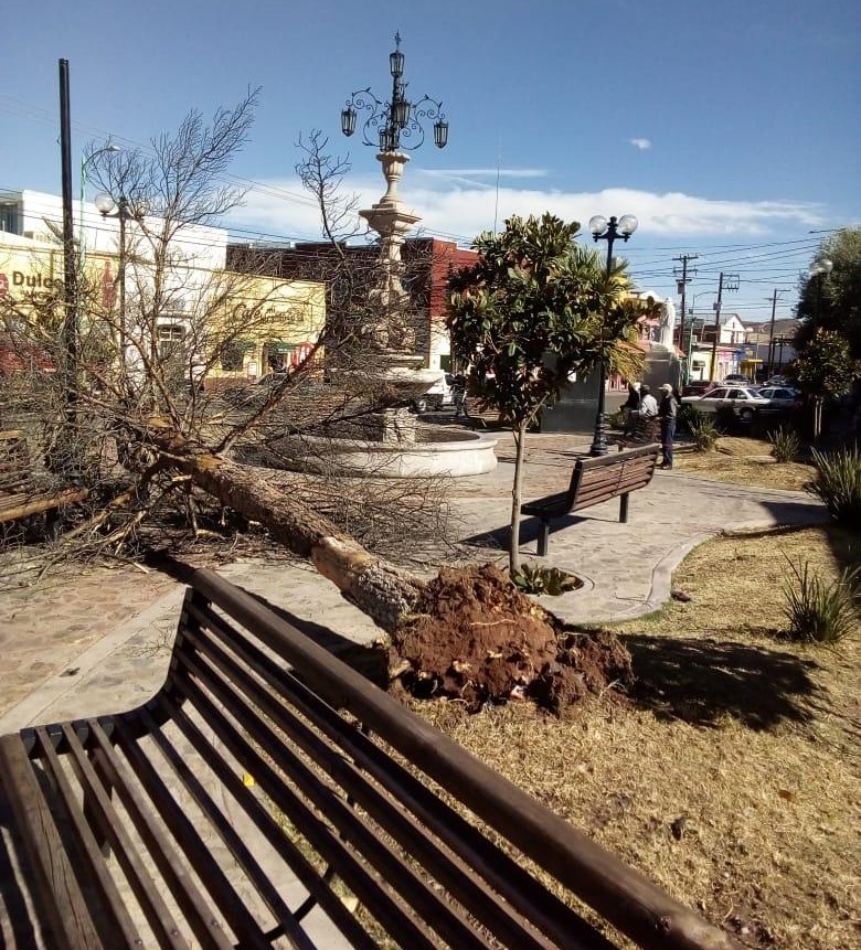 ESTRAGOS POR FUERTES VIENTOS 3