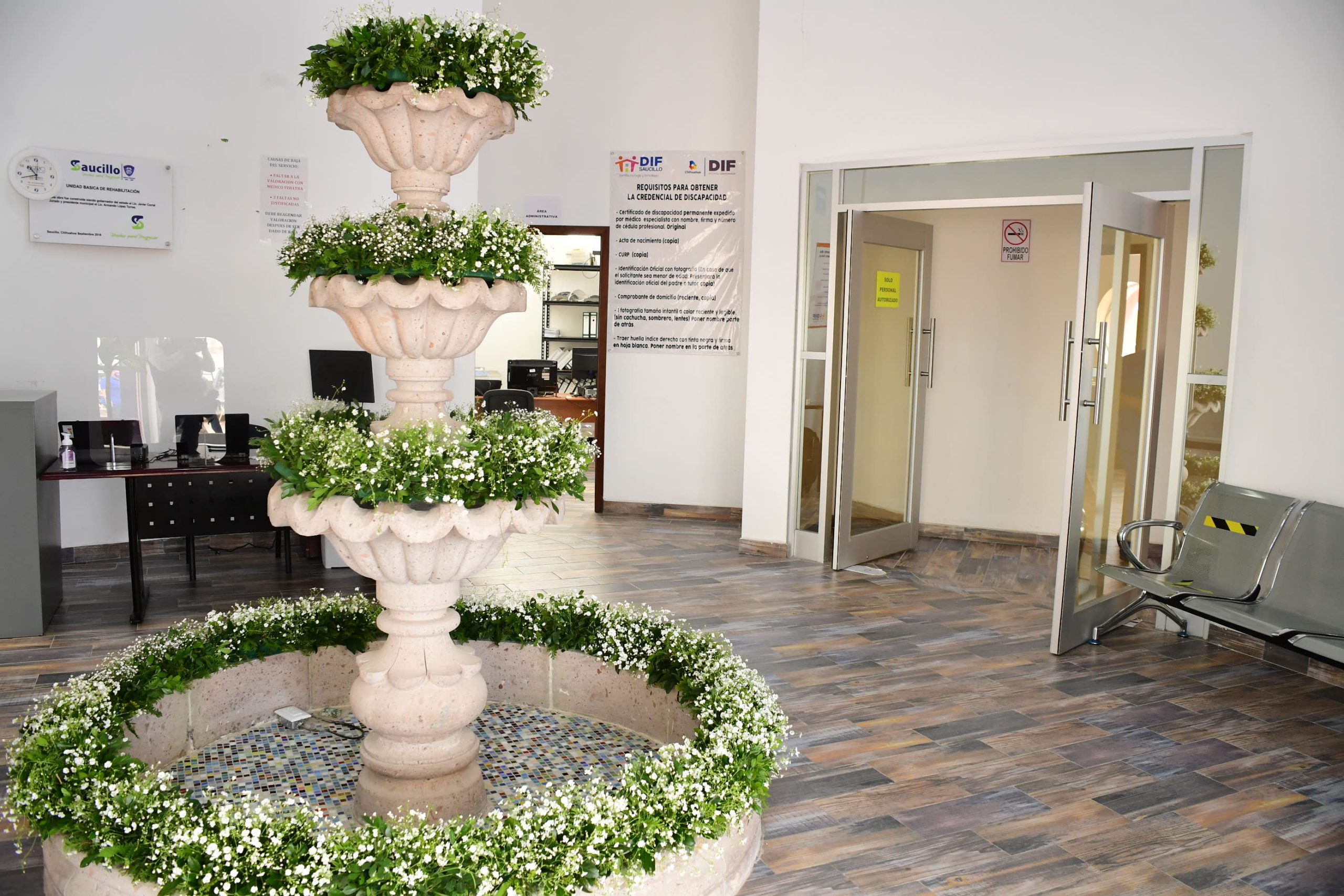 GIRA SAUCILLO 2 2 scaled