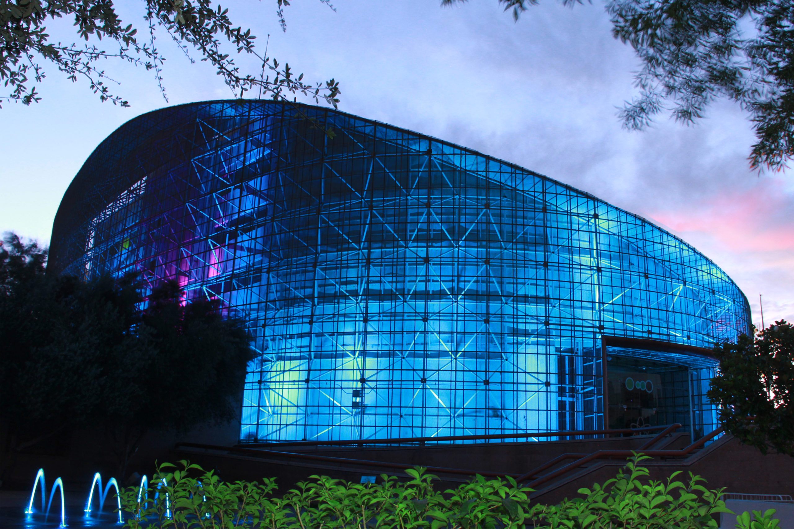 IMG 1274 copy scaled