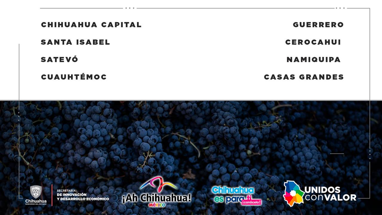 RUTAS DEL VINO Y DEL SOTOL 4