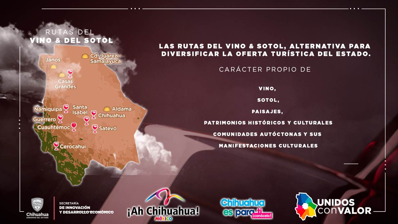 RUTAS DEL VINO Y DEL SOTOL 5