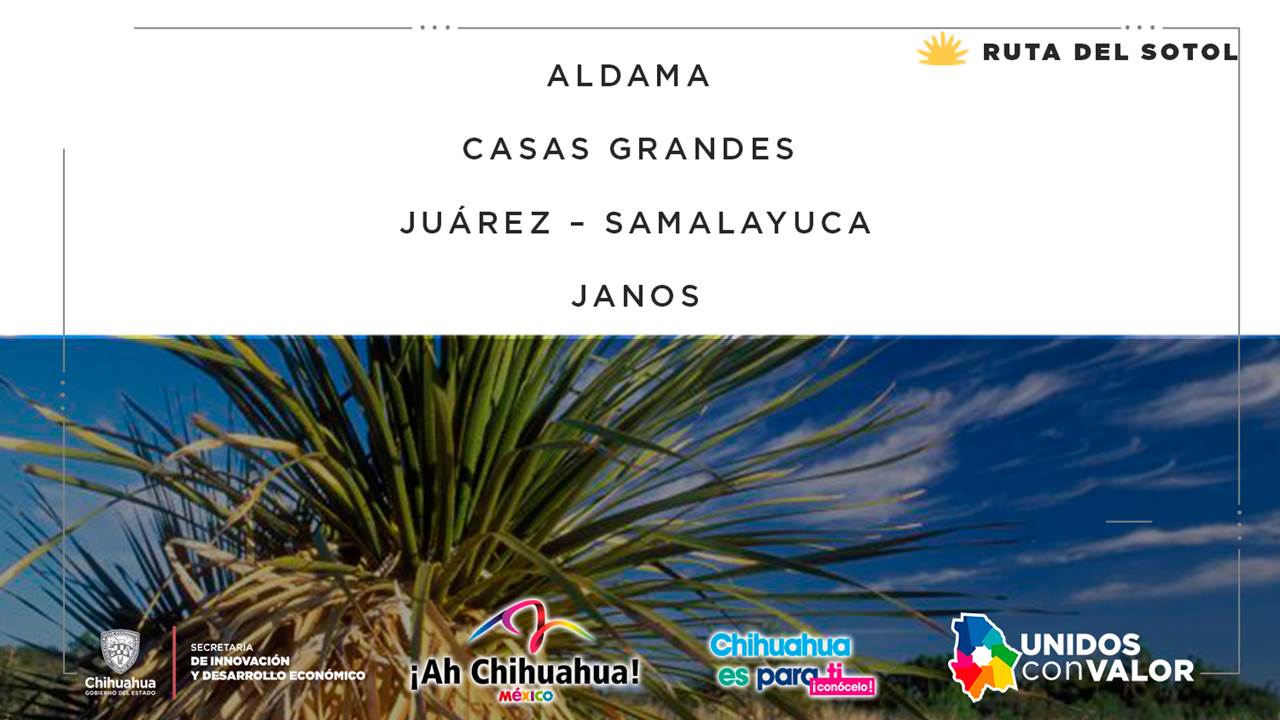 RUTAS DEL VINO Y DEL SOTOL 6