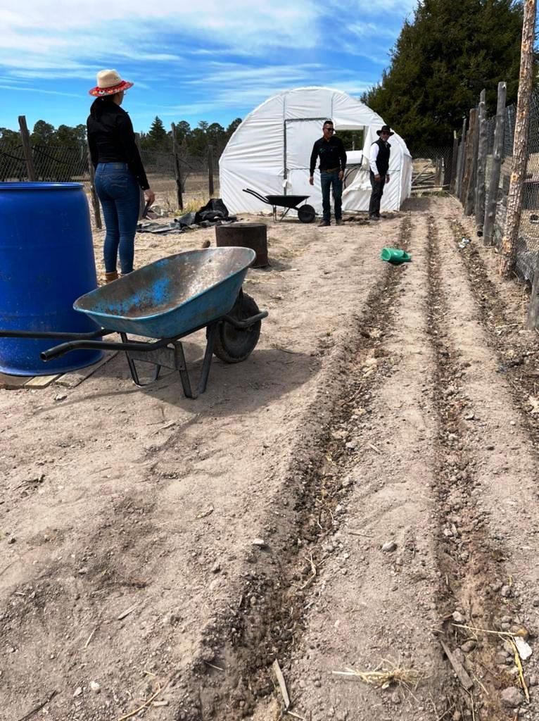 Sistema Colectivo en Turuceachi 7