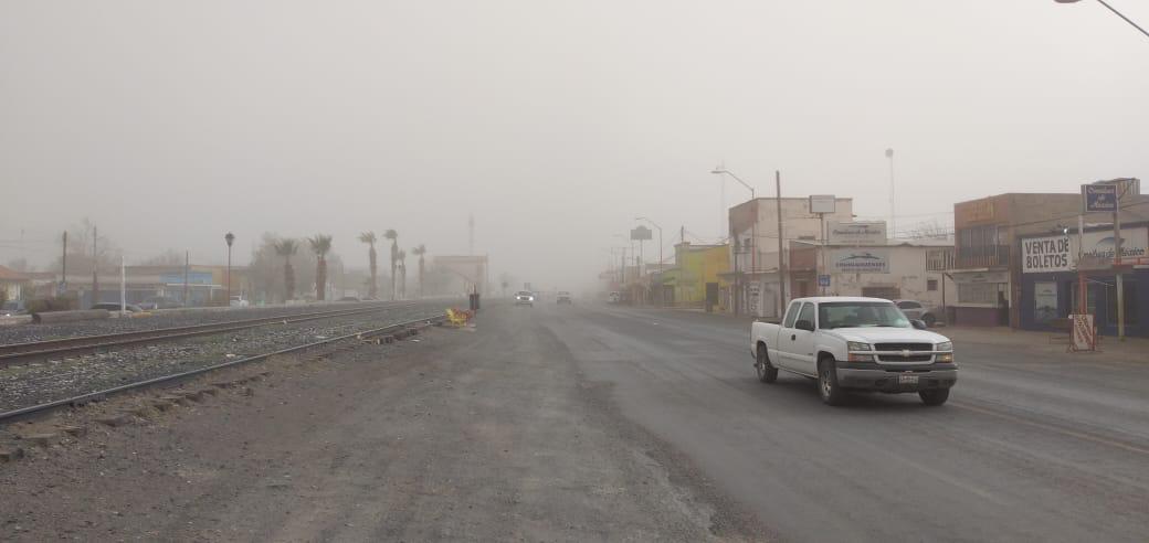 TOLVANERAS EN AHUMADA 3