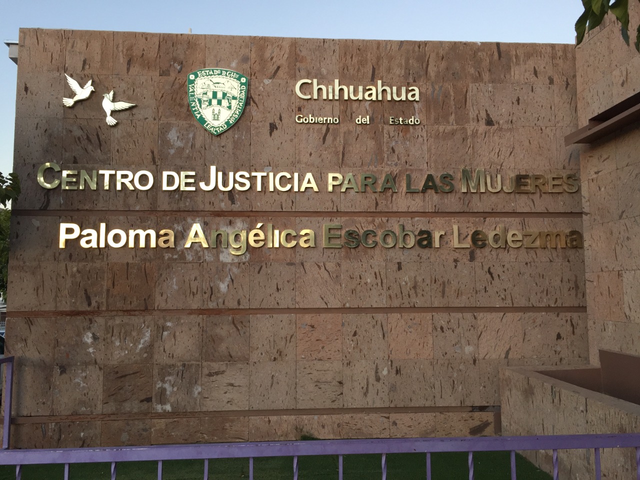 WhatsApp Image 2021 03 05 at 12.27.58