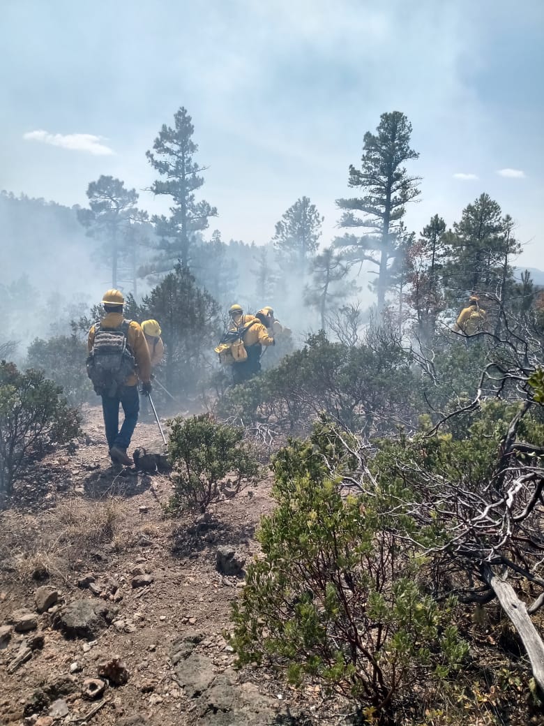Participan brigadistas de Gobierno del Estado y Sedena en sofocación de incendio en San Juanito 3 0dcd0b8f 4df8 4f40 8b3d be42d8fdf177