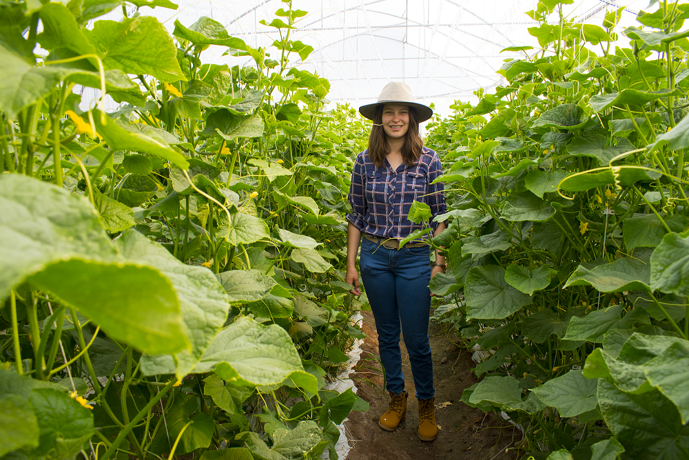 3 Invernadero Agricultura Sustentable