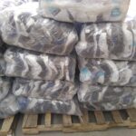 CONFERENCIA DE PRENSA GOBERNADOR ENTREGA UNIFORMES 2021 3