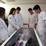 Mesa de anatomía 2