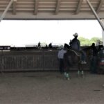 OPERATIVO CELULAS MIXTAS COVID 19 ABRIL 2