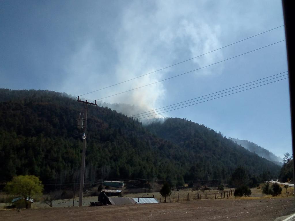 WhatsApp Image 2021 04 05 at 12.39.50 PM