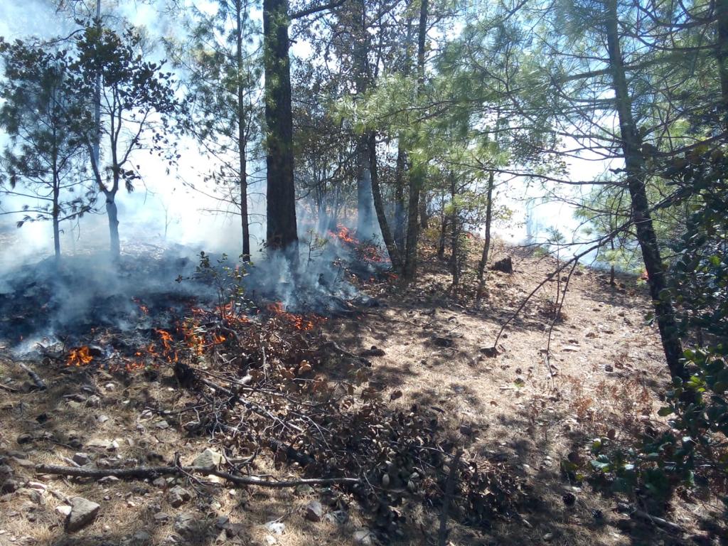 WhatsApp Image 2021 04 05 at 12.40.04 PM