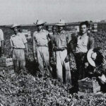 braceros1 orig