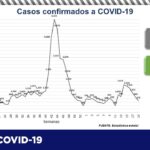 COVID-19: Suman 67 mil 850 contagios, 34 mil 189 son hombres y 33 mil 661 mujeres 9 3644064D 93E9 4B6C A283 F0E06C6971CB