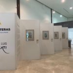 Exhiben en MUDECH “Flora sin Fronteras” 2 EXPO FLORA SIN FRONTERAS 4