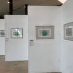 Exhiben en MUDECH “Flora sin Fronteras” 1 EXPO FLORA SIN FRONTERAS 5 15