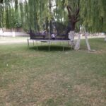 OPERATIVO CELULAS MIXTAS 21 23 DE MAYO 1