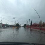 19AA89A5 FABE 446E B00B D00E14041F22