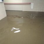 61E347F0 E57C 409E 8315 72024F0F7FAA