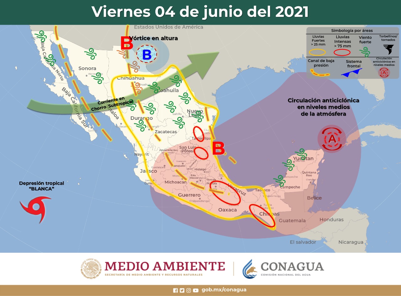 WhatsApp Image 2021 06 01 at 2.14.59 PM 2