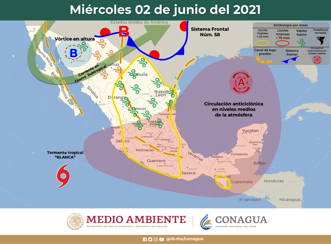 WhatsApp Image 2021 06 01 at 2.14.59 PM