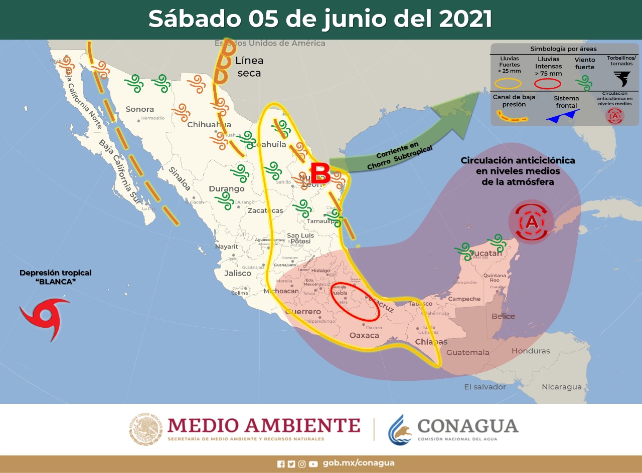 WhatsApp Image 2021 06 01 at 2.15.00 PM