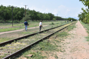 Limpieza Caminador Sur 1