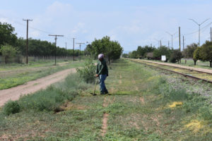 Limpieza Caminador Sur 2