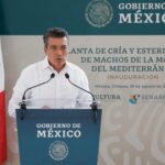 15F4A8A5 4CF0 4F76 90B4 3ADA375C6E9D