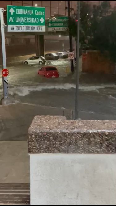 7907518F 64F6 41C9 9658 8F3D10BAECDB