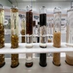 C2B12638 DC99 4338 A0A9 05CBABE41DF0