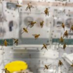 FE646C58 8F8D 4BB9 99CE 6618CB721A18