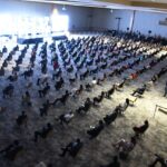 WhatsApp Image 2021 08 19 at 10.58.34