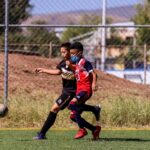 3d425087 02c9 4449 881e 2804c11ad986