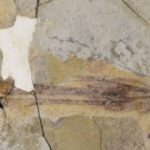 Captura de pantalla 2021 09 17 182625