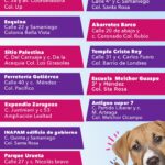 WhatsApp Image 2021 09 20 at 16.21.53