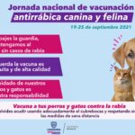 WhatsApp Image 2021 09 20 at 16.21.54